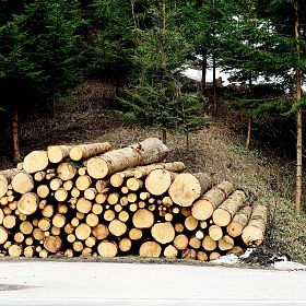 2024-stadt-kufstein-forst-symbolbild-fotoliaxrender-stock