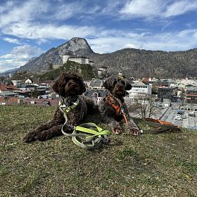 2024-stadt-kufstein-hundewiese-stadtmarketing-berger-4