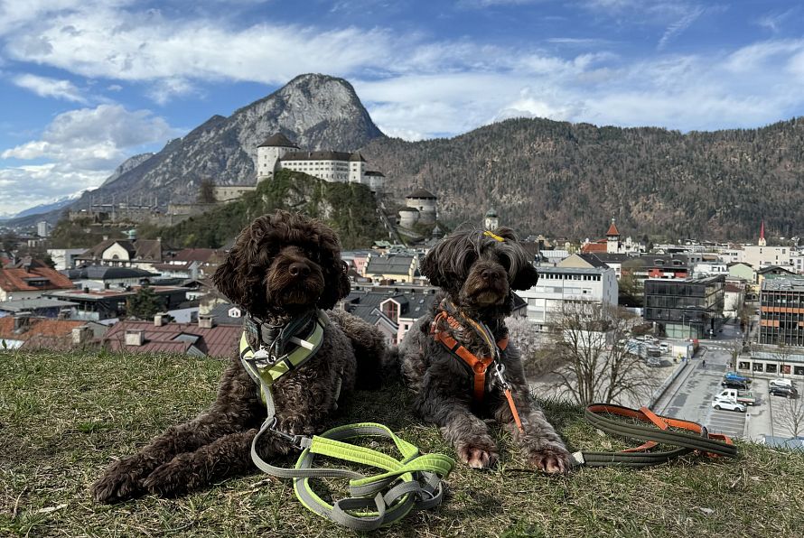 2024_Stadt_Kufstein_Hundewiese_Stadtmarketing_Berger