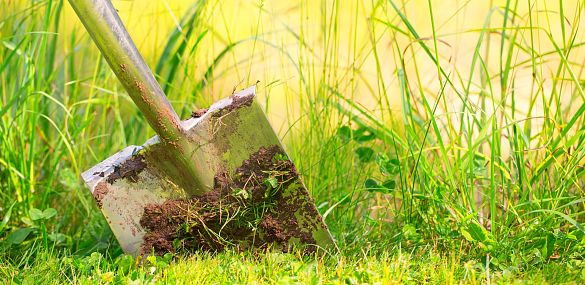 Gardening