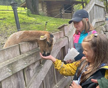 ein Besuch im Raritätenzoo