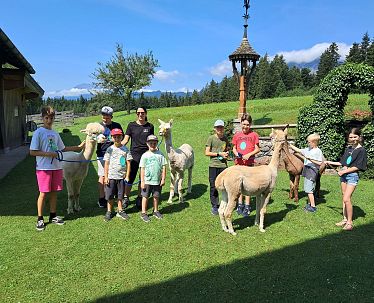 slim-beim-wandern-mit-alpakas